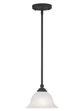 Livex Lighting 4256-04 - 1 Light Black Mini Pendant