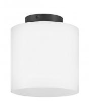 Lark 83533BK - Extra Small Flush Mount