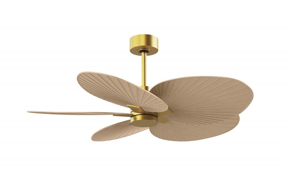 Alessandra Tropical 5-blade ceiling fan in Brushed Brass and Light Maple blades.