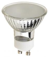 Flood Bulbs