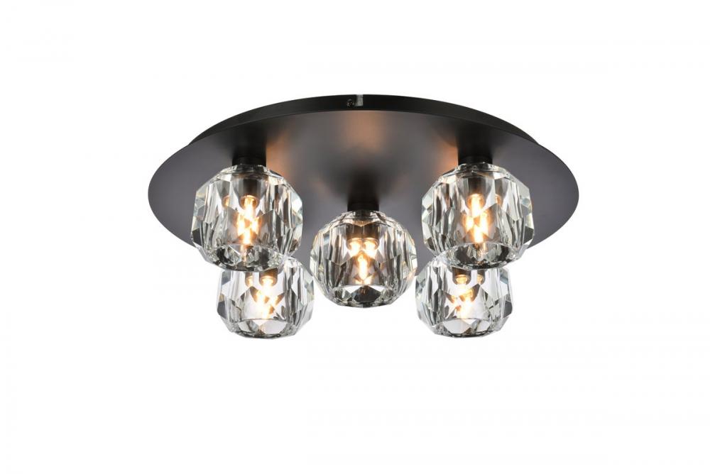 Graham 5 Light Ceiling Lamp in Black