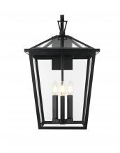 Elegant OD334W23BK - Oxford 7 inch Outdoor Pendant in Black