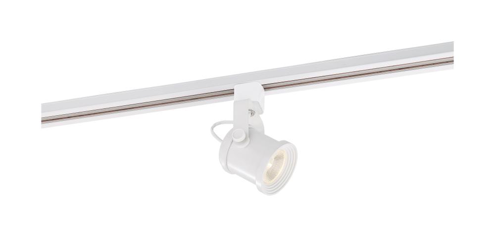 LED; 12 Watt Forged Track Head; White; 24 deg. Beam Angle